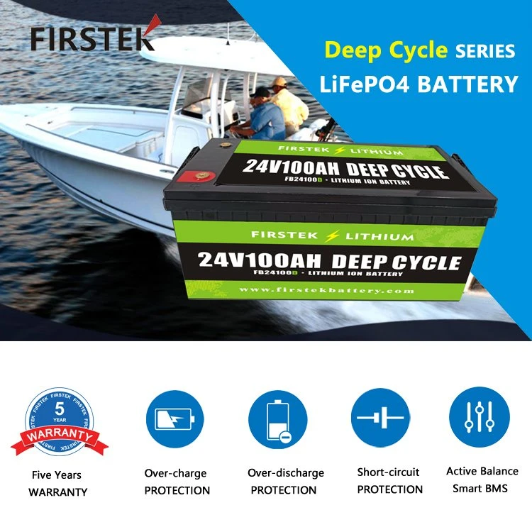 deep cycle -24v100
